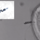 Illustration for article titled Cyborg Sperm Could Revolutionize Fertility Treatments